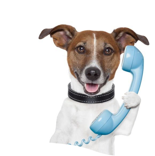 Bellende hond